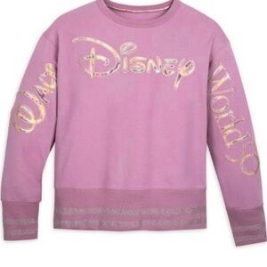 Walt Disney World Earidescent collection sweatshirt spirit jersey